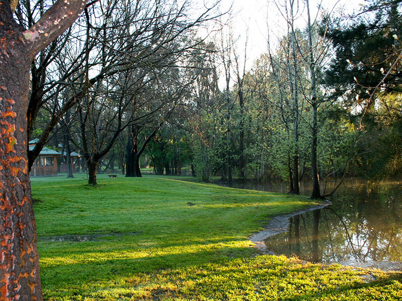 Denman Van Village is a Hunter Valley caravan park