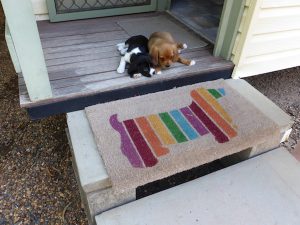 Denman van village pet friendly