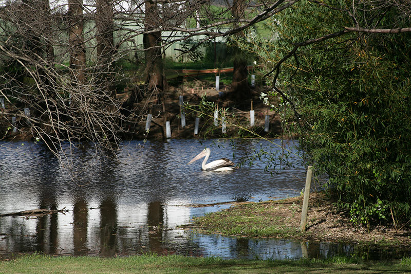 Denman Van Village in NSW Hunter Valley