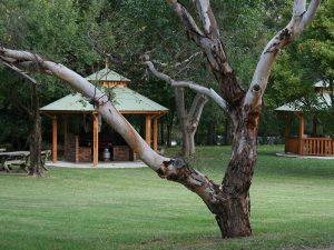 caravan parks in hunter valley