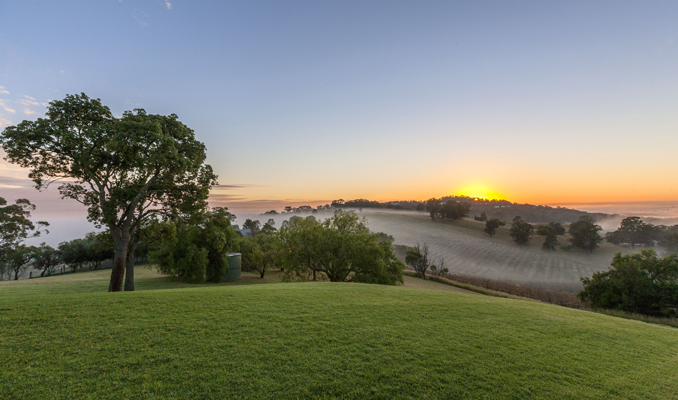 Hunter Valley Landscape