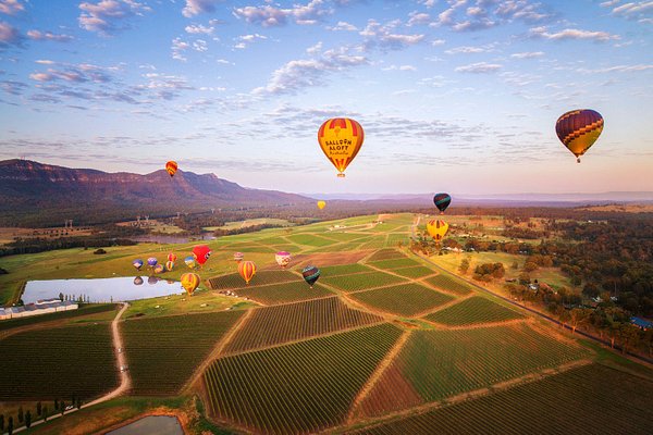 balloons in the Hunter Valley