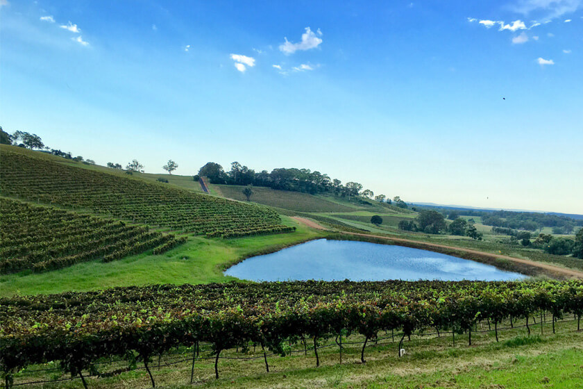 hunter valley wine