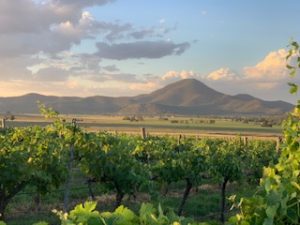 James Estate Wines Picnic Grounds