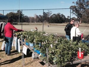 Denman NSW Farmers Markets