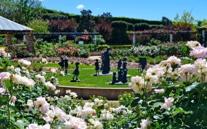 Spring Bloom at Hunter Valley Gardens