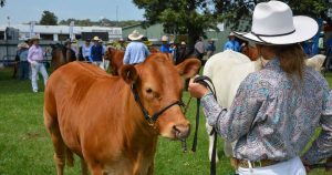 Upper Hunter Show (Muswellbrook)