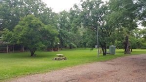 denman van village accommodation in the hunter valley